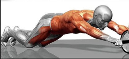 RUEDA ABDOMINAL